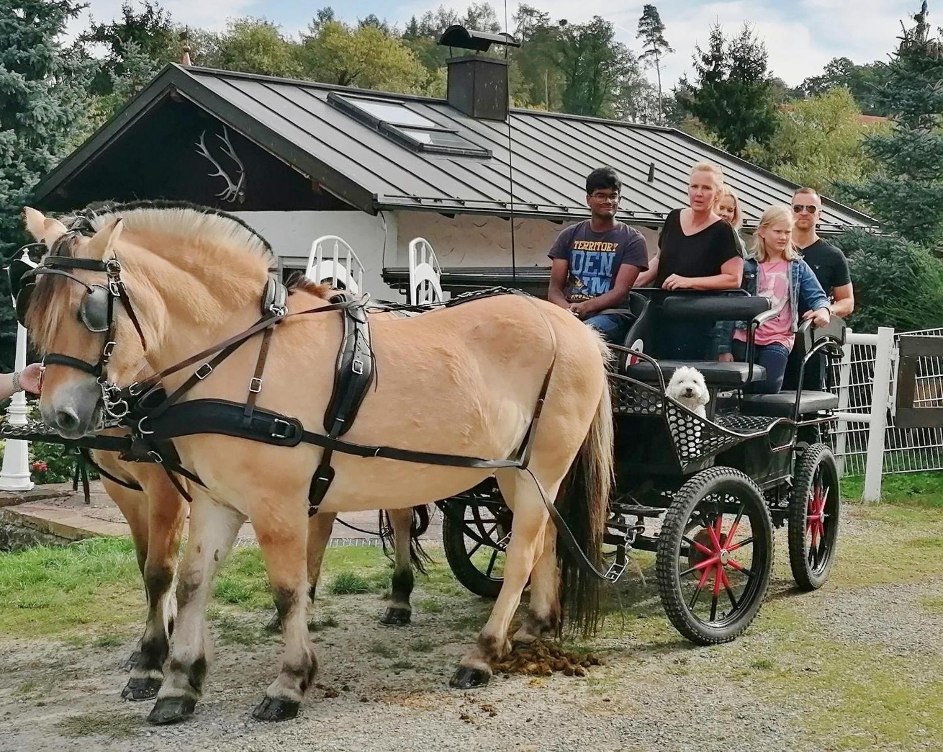 Pension Stern Rauenberg  Exteriör bild