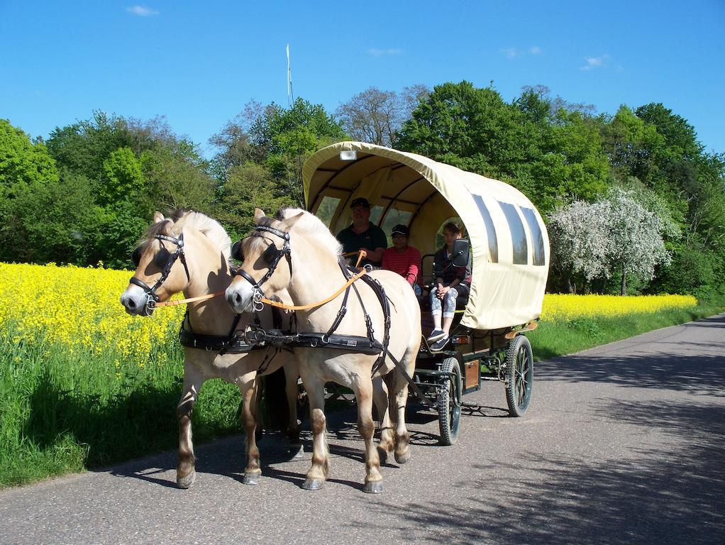 Pension Stern Rauenberg  Exteriör bild
